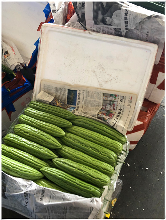 俄罗斯专享会294·VIP(中国区)官方网站