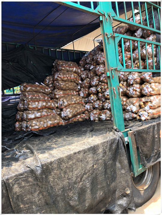 俄罗斯专享会294·VIP(中国区)官方网站