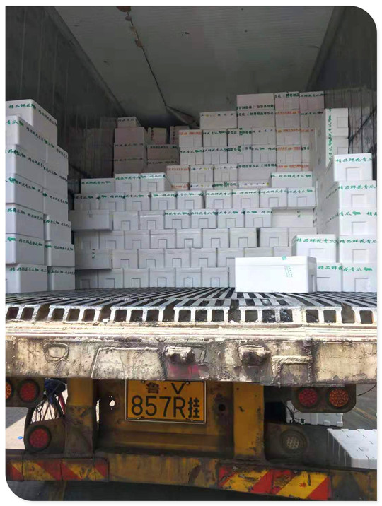 俄罗斯专享会294·VIP(中国区)官方网站