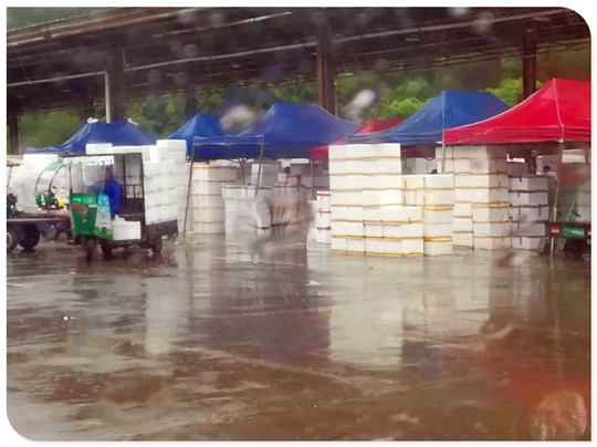 俄罗斯专享会294·VIP(中国区)官方网站