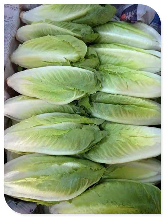 俄罗斯专享会294·VIP(中国区)官方网站