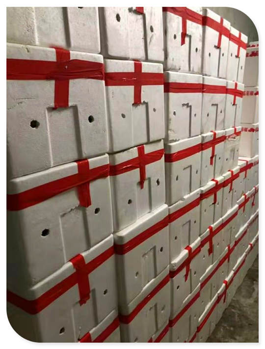 俄罗斯专享会294·VIP(中国区)官方网站