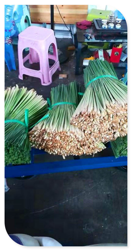 俄罗斯专享会294·VIP(中国区)官方网站