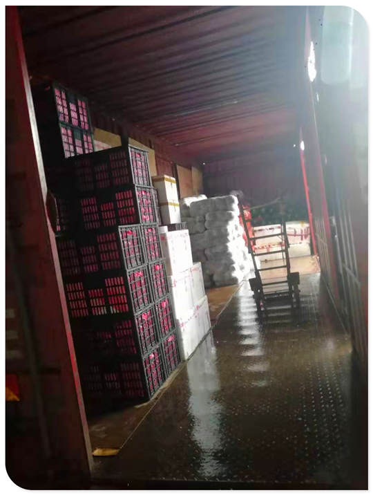 俄罗斯专享会294·VIP(中国区)官方网站