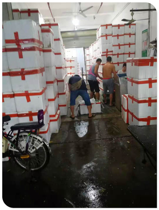 俄罗斯专享会294·VIP(中国区)官方网站