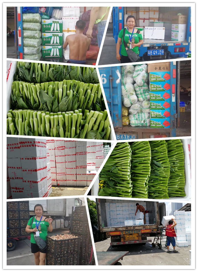 俄罗斯专享会294·VIP(中国区)官方网站