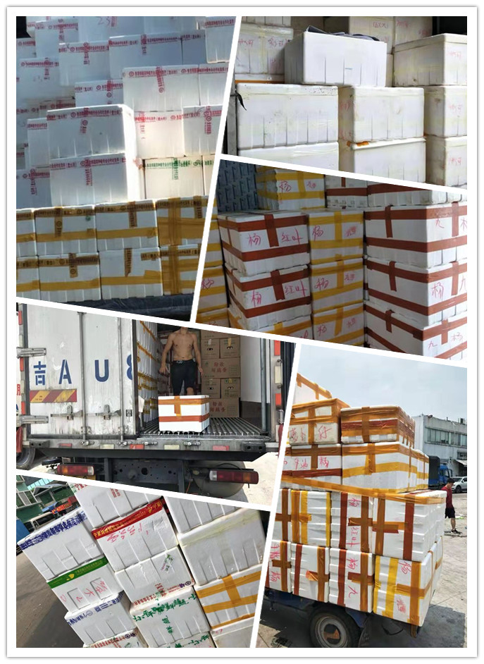 俄罗斯专享会294·VIP(中国区)官方网站