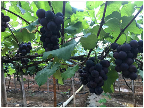 俄罗斯专享会294·VIP(中国区)官方网站