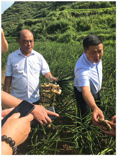 俄罗斯专享会294·VIP(中国区)官方网站