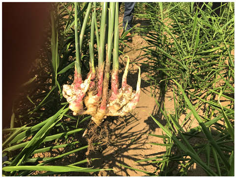 俄罗斯专享会294·VIP(中国区)官方网站