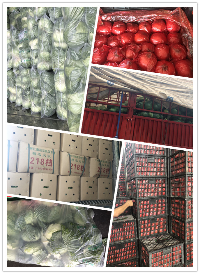 俄罗斯专享会294·VIP(中国区)官方网站