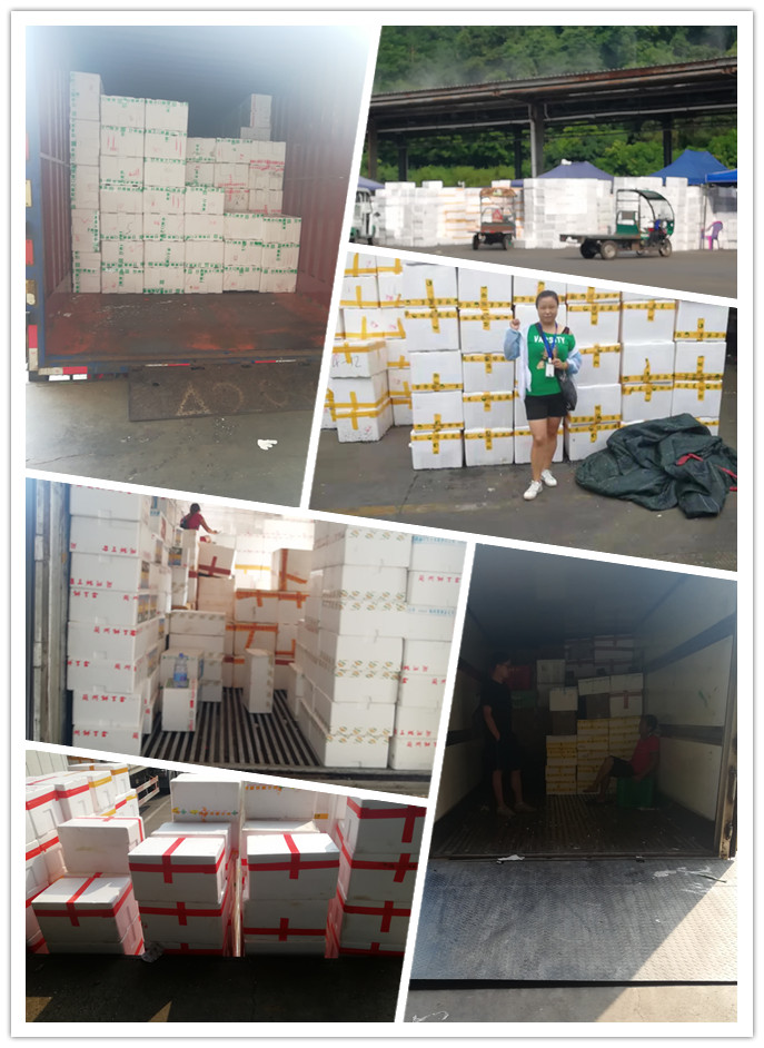 俄罗斯专享会294·VIP(中国区)官方网站