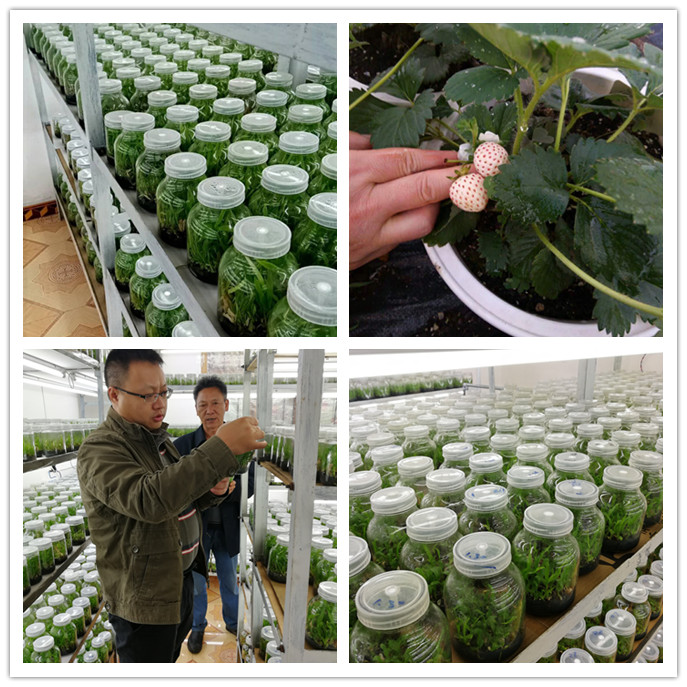 俄罗斯专享会294·VIP(中国区)官方网站