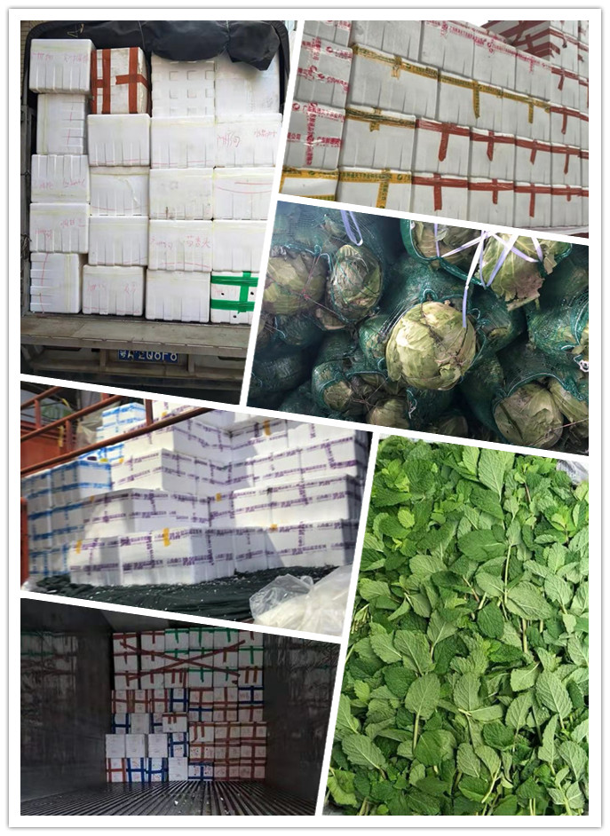 俄罗斯专享会294·VIP(中国区)官方网站