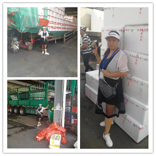 俄罗斯专享会294·VIP(中国区)官方网站