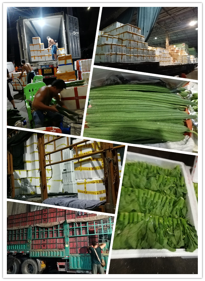 俄罗斯专享会294·VIP(中国区)官方网站