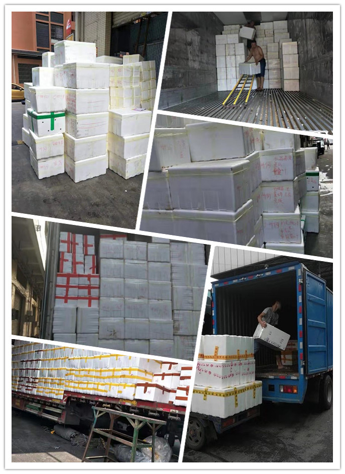 俄罗斯专享会294·VIP(中国区)官方网站