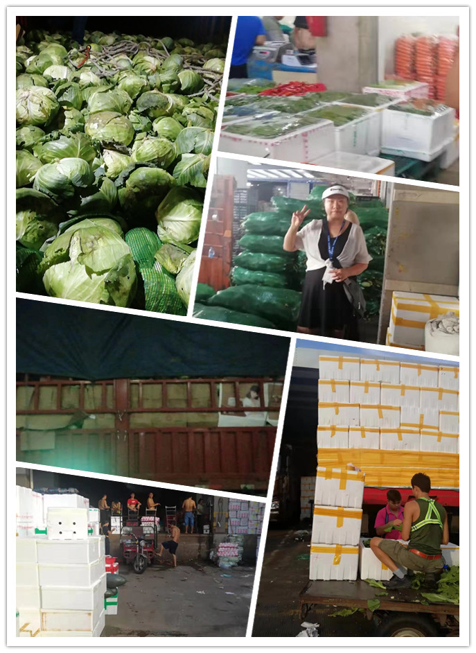 俄罗斯专享会294·VIP(中国区)官方网站