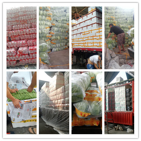 俄罗斯专享会294·VIP(中国区)官方网站