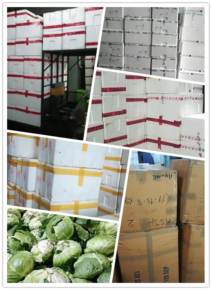 俄罗斯专享会294·VIP(中国区)官方网站