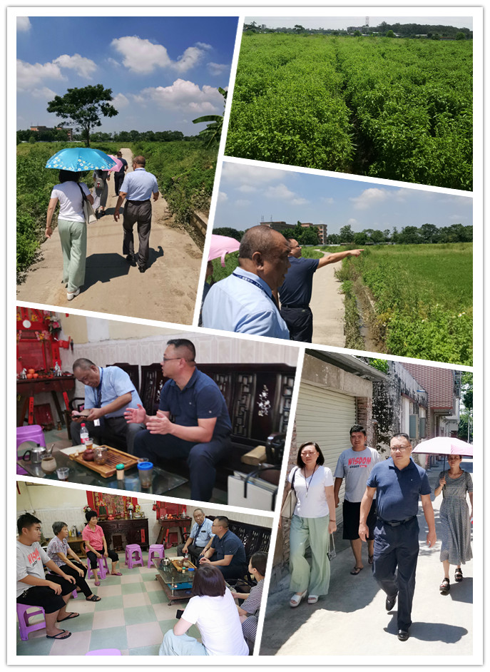 俄罗斯专享会294·VIP(中国区)官方网站