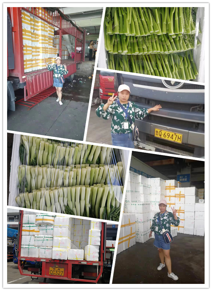 俄罗斯专享会294·VIP(中国区)官方网站