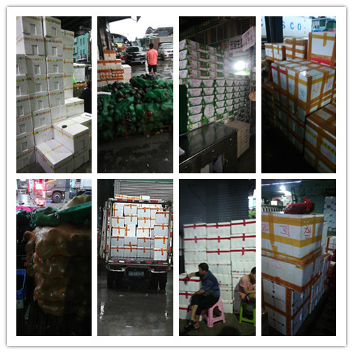 俄罗斯专享会294·VIP(中国区)官方网站