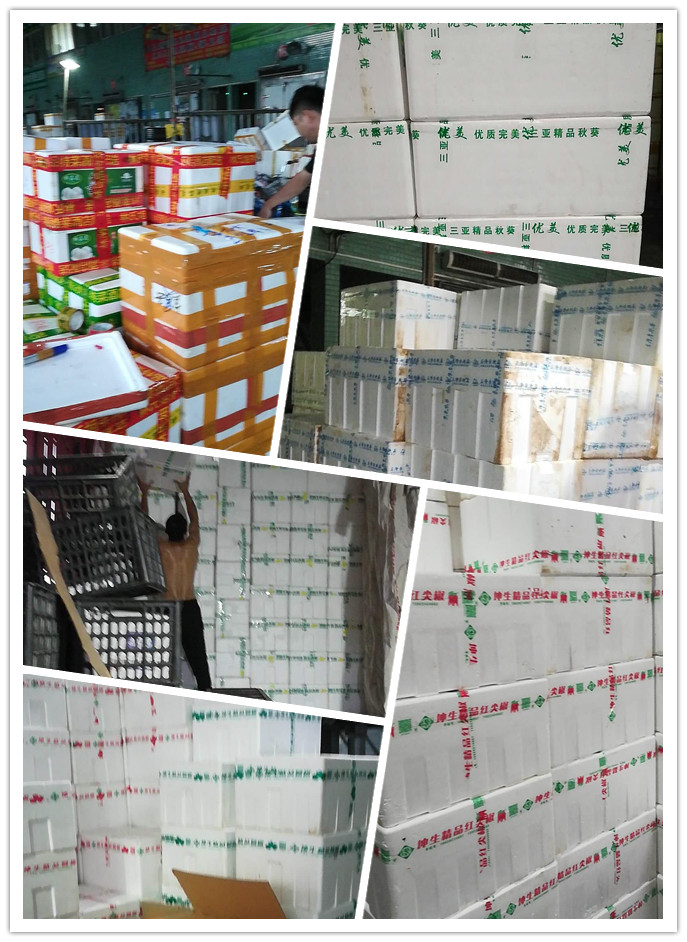 俄罗斯专享会294·VIP(中国区)官方网站