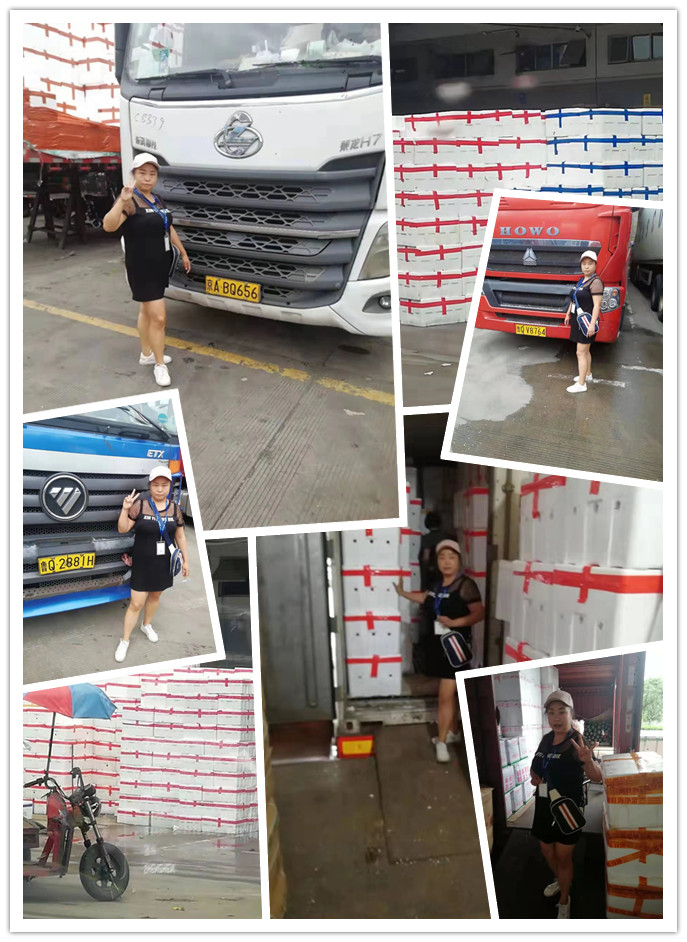 俄罗斯专享会294·VIP(中国区)官方网站