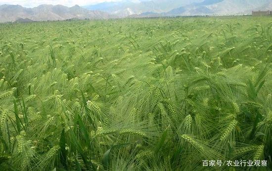 俄罗斯专享会294·VIP(中国区)官方网站