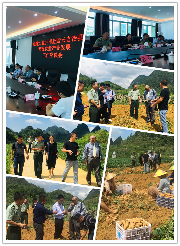 俄罗斯专享会294·VIP(中国区)官方网站