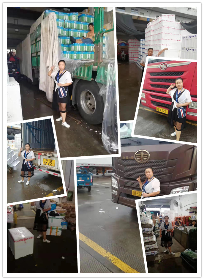 俄罗斯专享会294·VIP(中国区)官方网站