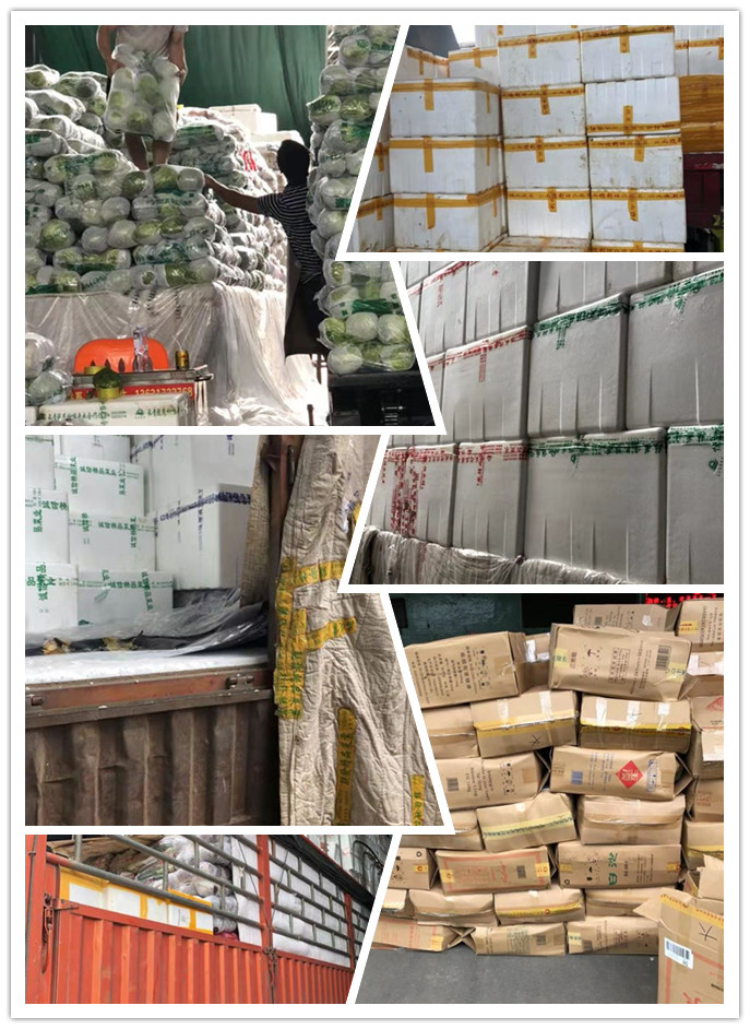 俄罗斯专享会294·VIP(中国区)官方网站