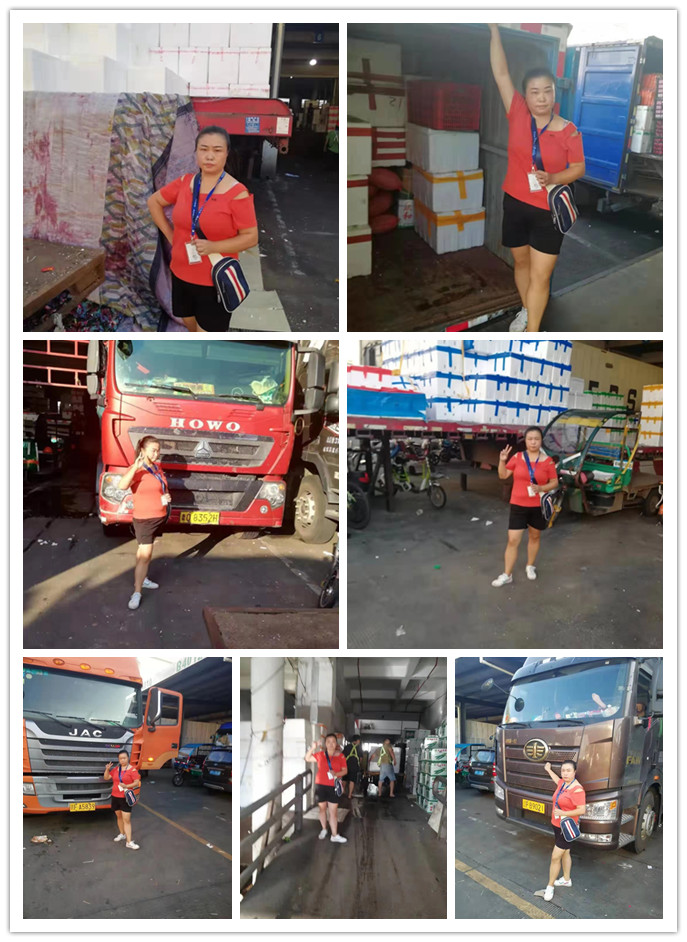 俄罗斯专享会294·VIP(中国区)官方网站