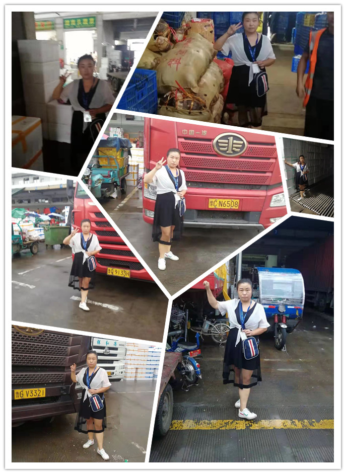 俄罗斯专享会294·VIP(中国区)官方网站