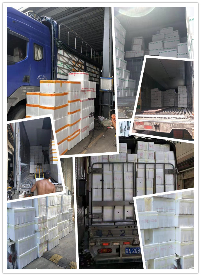 俄罗斯专享会294·VIP(中国区)官方网站