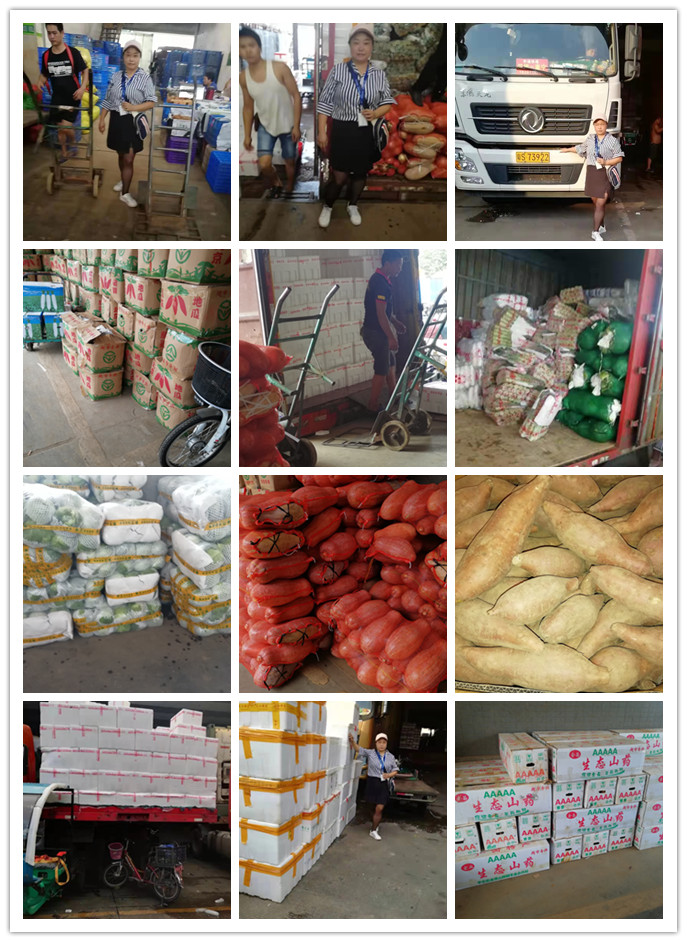 俄罗斯专享会294·VIP(中国区)官方网站