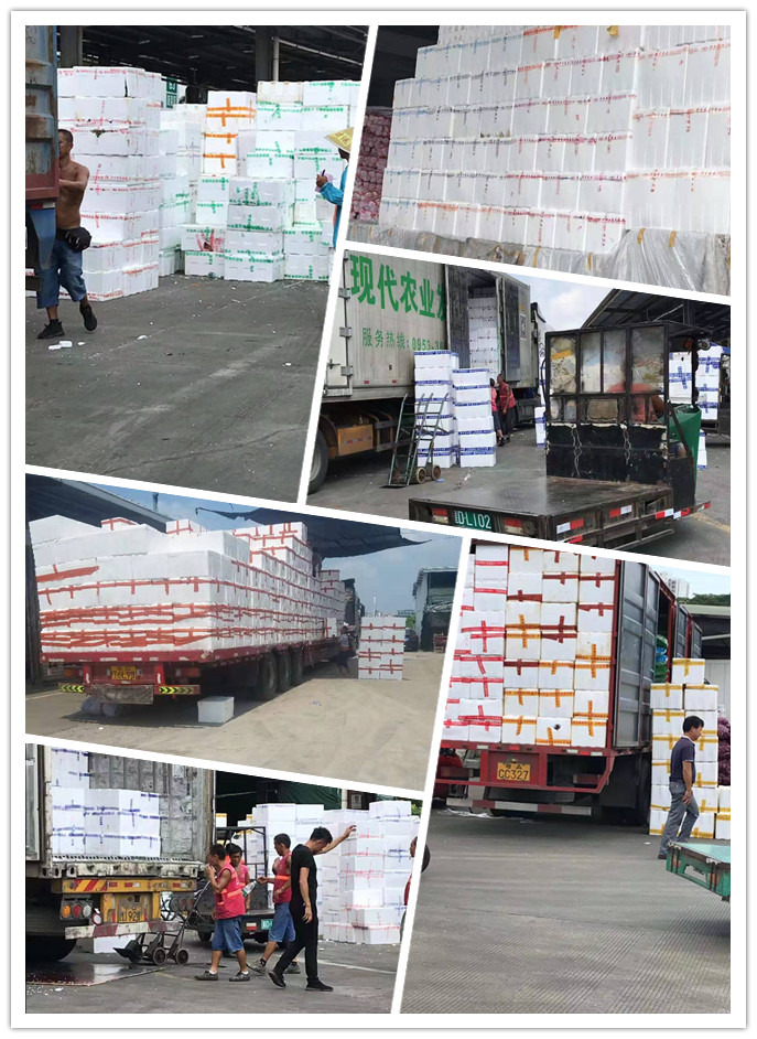 俄罗斯专享会294·VIP(中国区)官方网站