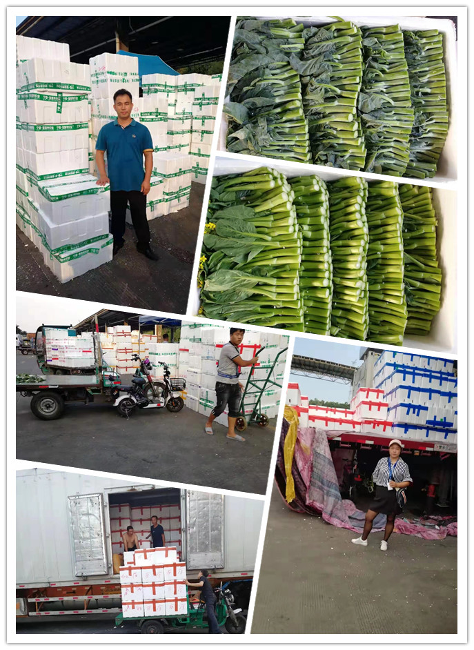 俄罗斯专享会294·VIP(中国区)官方网站