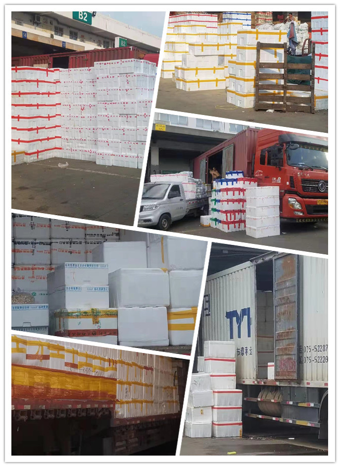 俄罗斯专享会294·VIP(中国区)官方网站