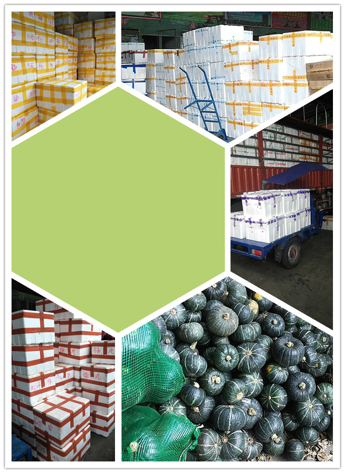 俄罗斯专享会294·VIP(中国区)官方网站