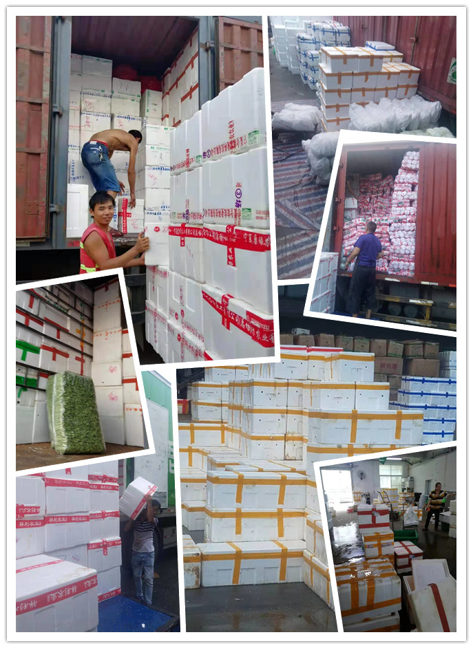 俄罗斯专享会294·VIP(中国区)官方网站