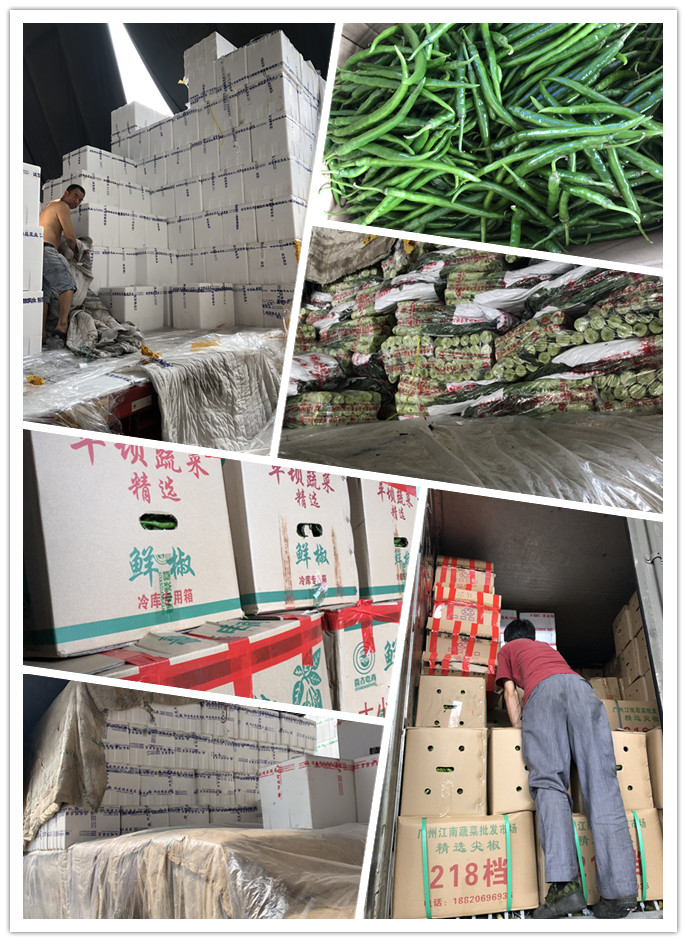 俄罗斯专享会294·VIP(中国区)官方网站