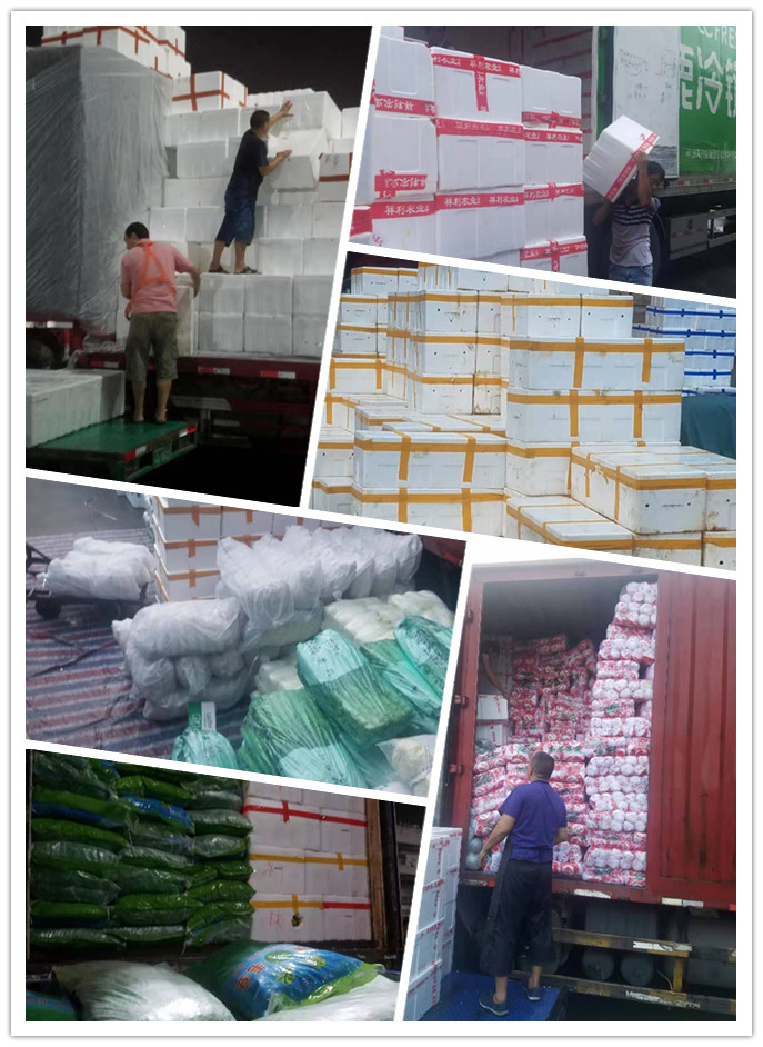 俄罗斯专享会294·VIP(中国区)官方网站