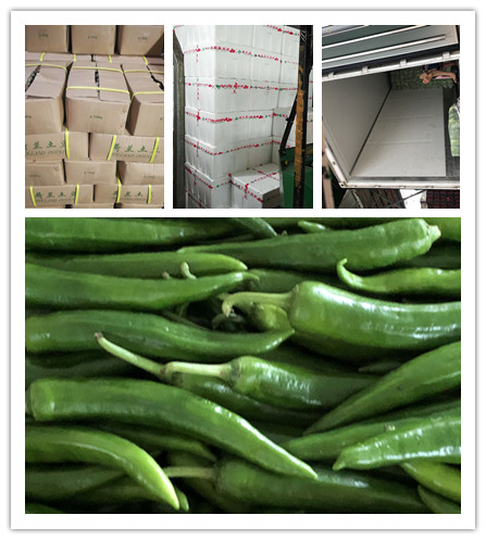 俄罗斯专享会294·VIP(中国区)官方网站