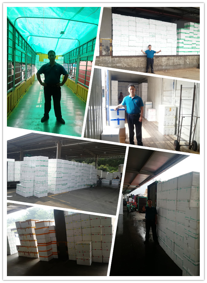 俄罗斯专享会294·VIP(中国区)官方网站