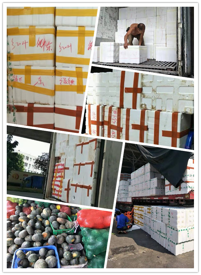 俄罗斯专享会294·VIP(中国区)官方网站