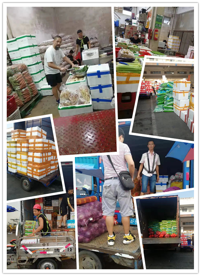 俄罗斯专享会294·VIP(中国区)官方网站