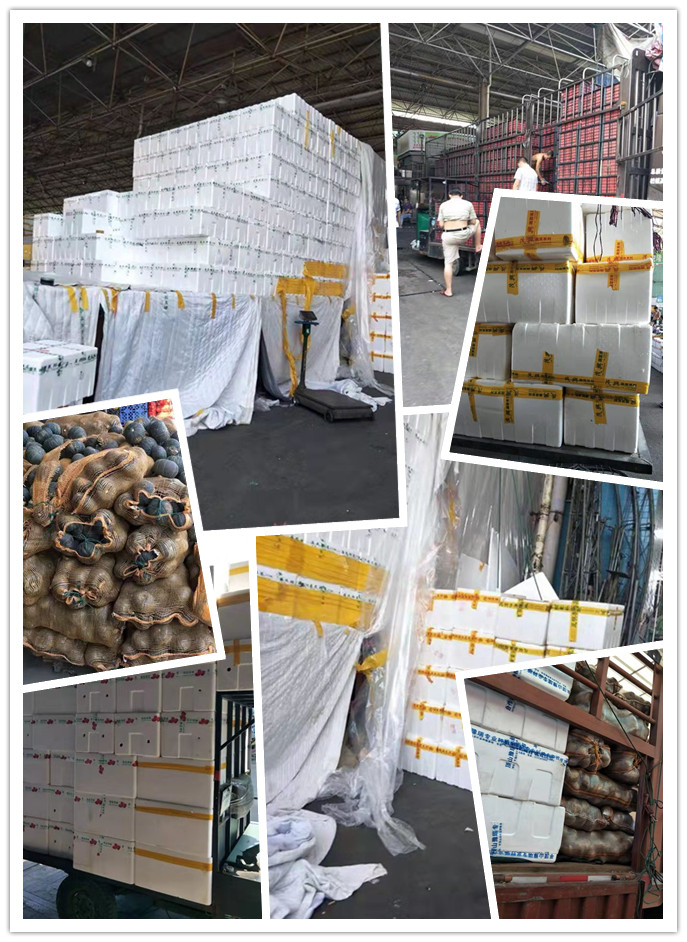 俄罗斯专享会294·VIP(中国区)官方网站