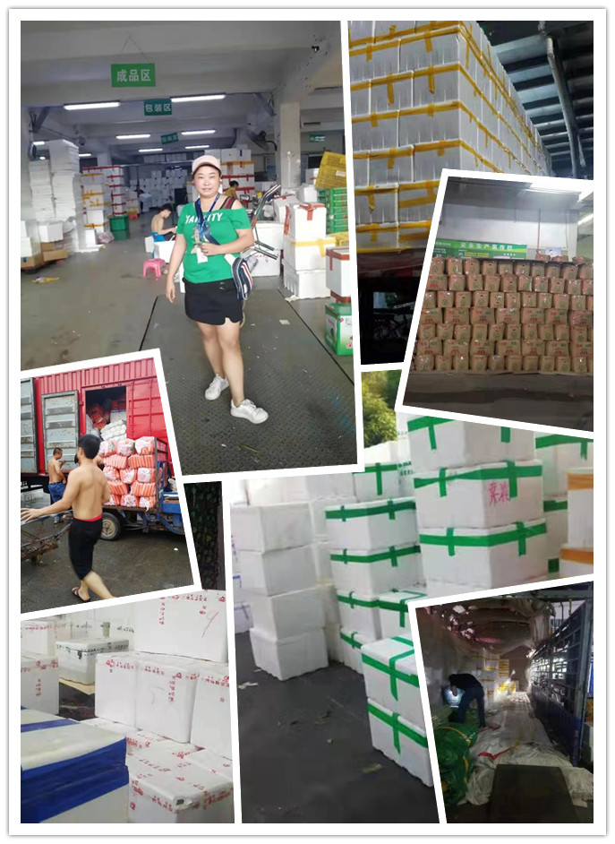 俄罗斯专享会294·VIP(中国区)官方网站